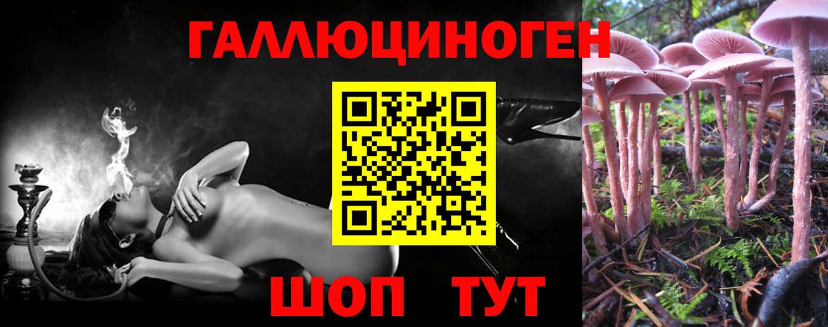 Азнакаево  Галлюциногенные грибы мицелий  Вход с VPN 